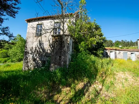 Quinta T2