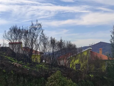 Terreno Urbano
