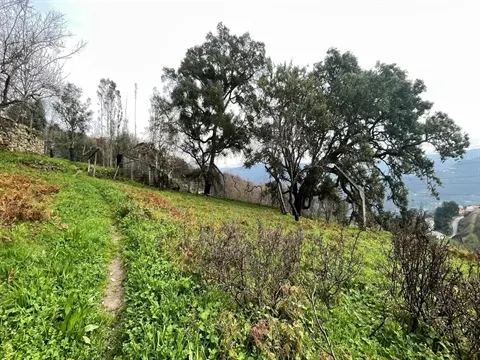 Terreno Rústico