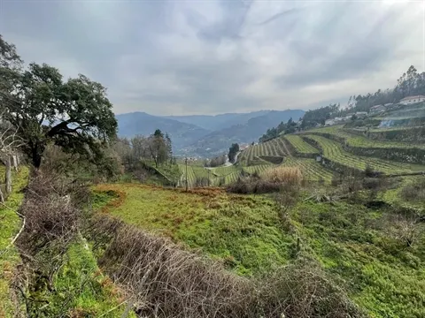 Terreno Rústico