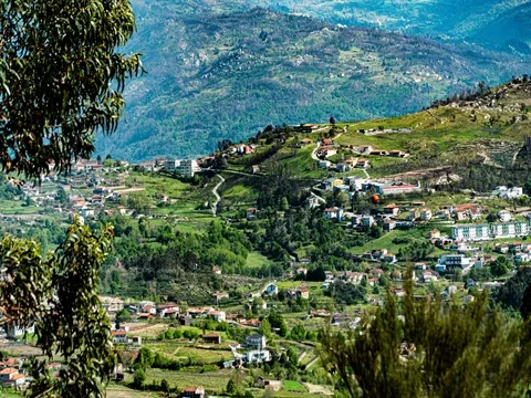 Quinta