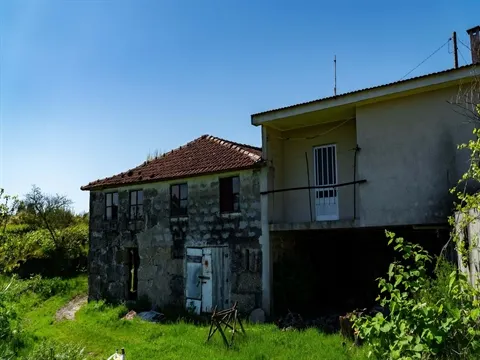 Quinta