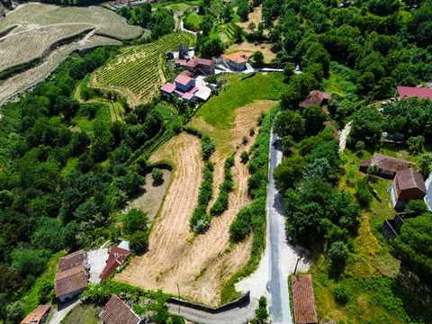 Real Estate