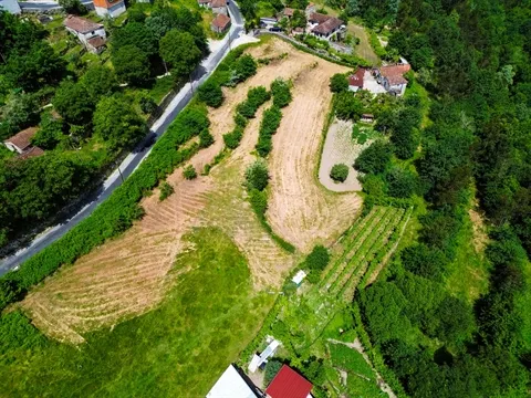 Terreno Rústico