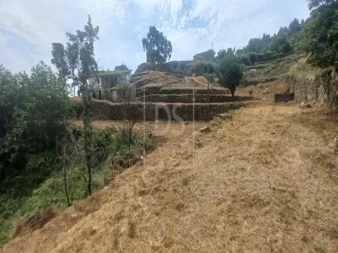 Quinta T3 em Marco de Canaveses