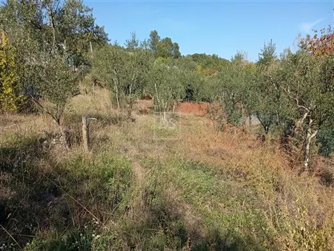 Moradia para Restaurar T2 Venda