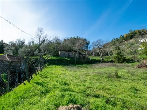 Farm T2