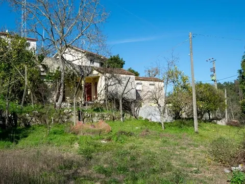 Farm T2