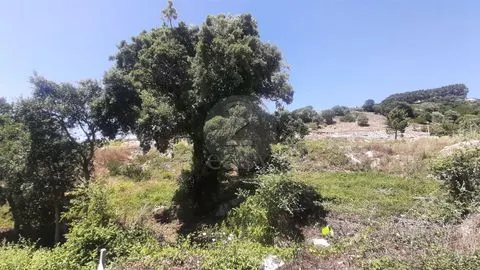 Piece of Real Estate T6