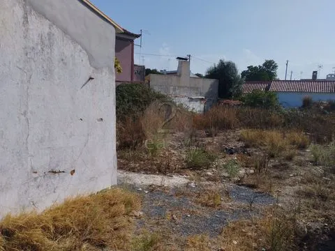 &#19968;&#27004;&#21035;&#22661;&#22312;600&#24179;&#26041;&#31859;&#30340;&#22303;&#22320;&#19978;&#24674;&#22797;&#65292;&#38463;&#38647;&#26391;&#65292;&#22307;&#22320;&#20122;&#21733;&#26460;&#21345;&#22622;&#22982;