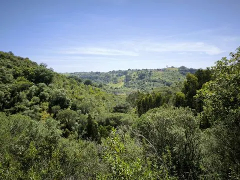 Terrain rustique de 11,95 ha avec faisabilité de construction sur la côte de l’Alentejo
