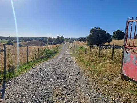 Propriedade Agrícola ideal para ovinos/caprinos em Selmes com Casa T1