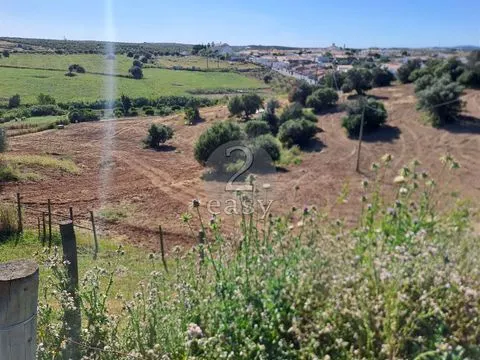 Propriedade Agrícola ideal para ovinos/caprinos em Selmes com Casa T1