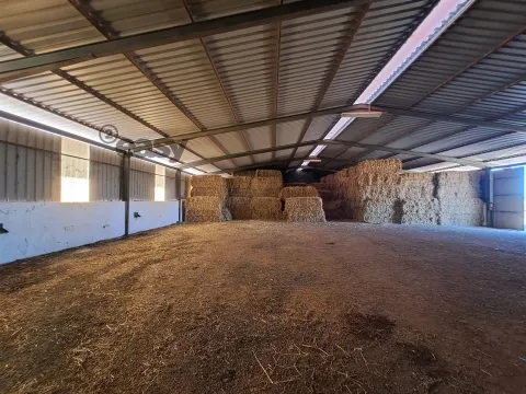 HERDADE COM SALA DE ORDENHA OVINOS ou CAPRINOS E ARMAZÉNS EM SELMES e T1