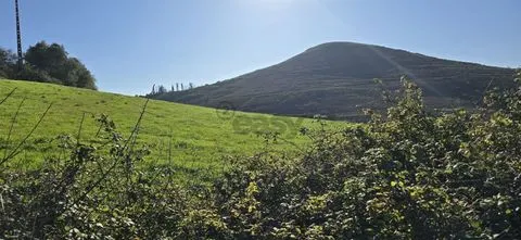 Land 18,437 m² - Malveira, Mafra, Portugal