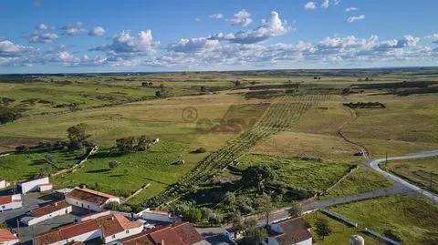 Terreno rústico 5,575 ha, Plantação de Figueira Índia, São Marcos da Ataboeira