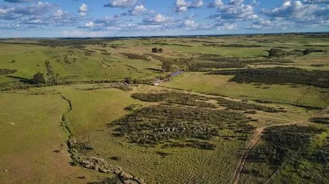 Terreno rústico 5,575 ha, Plantação de Figueira Índia, São Marcos da Ataboeira