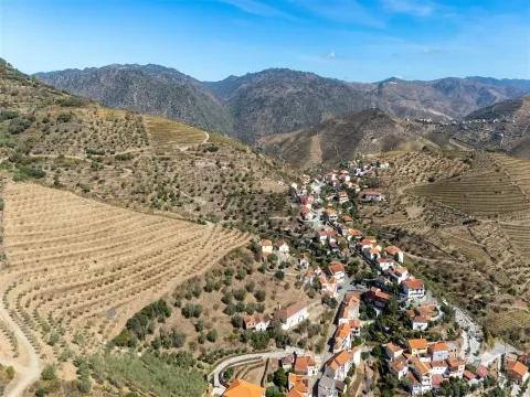 Quinta S. João da Pesqueira