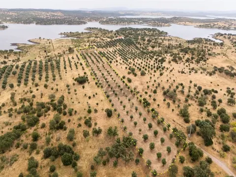 Terreno Agrícola com Olival com 14000m2 Barragem de Alqueva– Ferreira de Capelins, Alandroal