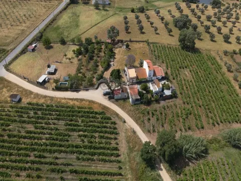 Сельскохозяйственная земля с оливковой рощей площадью 4500м2, Монтемор-о-Ново