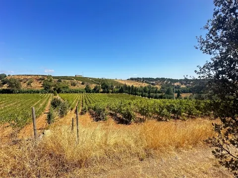 &#21338;&#23572;&#24052;&#30340; Rainfed Vineyard - &#20301;&#20110;&#38463;&#36830;&#29305;&#33593;&#20013;&#24515;&#30340;&#29420;&#29305;&#20307;&#39564;