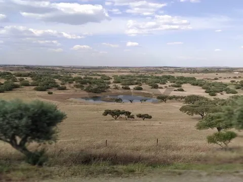 Moradia com 9 divisões para remodelar, Alcaria do Coelho, São Marcos da Ataboeira