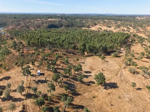 &#1057;&#1084;&#1077;&#1096;&#1072;&#1085;&#1085;&#1099;&#1081; &#1079;&#1077;&#1084;&#1077;&#1083;&#1100;&#1085;&#1099;&#1081; &#1091;&#1095;&#1072;&#1089;&#1090;&#1086;&#1082; &#1087;&#1083;&#1086;&#1097;&#1072;&#1076;&#1100;&#1102; 8250&#1084;2, &#1074;&#1086;&#1079;&#1084;&#1086;&#1078;&#1085;&#1086;&#1089;&#1090;&#1100; &#1089;&#1090;&#1088;&#1086;&#1080;&#1090;&#1077;&#1083;&#1100;&#1089;&#1090;&#1074;&#1072; &#1076;&#1086;&#1084;&#1072; 108&#1084;2, &#1040;&#1073;&#1077;&#1083;&#1072;, &#1040;&#1083;&#1077;&#1085;&#1090;&#1077;&#1078;&#1091;