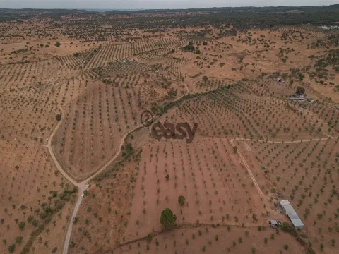 Portel &#24453;&#21806;&#20892;&#30000;&#65292;&#38754;&#31215;&#20026; 49,750 &#24179;&#26041;&#31859;&#65288;4,975 &#20844;&#39031;&#65289;&#65292;&#27204;&#27012;&#22253;&#27491;&#22312;&#31215;&#26497;&#29983;&#20135;&#12290;