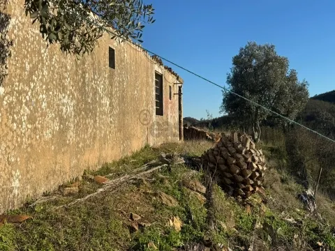 2 Moradias para recuperar em Terreno com 12000m2-Santana da Serra