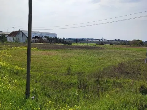 Terreno urbanizável para venda em Taipadas - Canha - Montijo