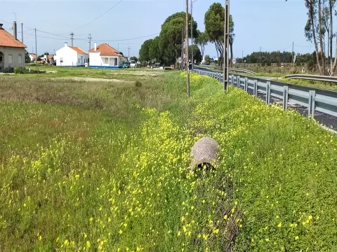 Terreno urbanizável para venda em Taipadas - Canha - Montijo