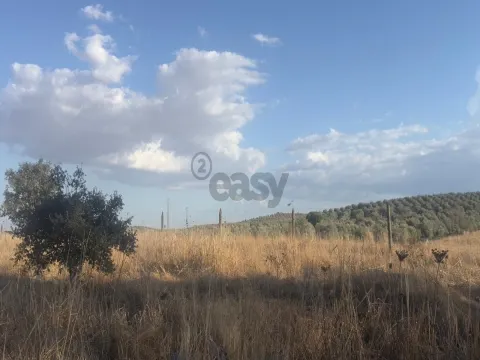 Terreno rústico com 4.5ha, Casével, Castro Verde