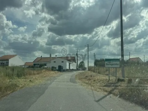 Terreno Rústico com 37ha, Beringelinho, Castro Verde