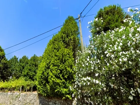 Terreno 1.500m² Vilar de Mouros | Construção Moradia | Caminha