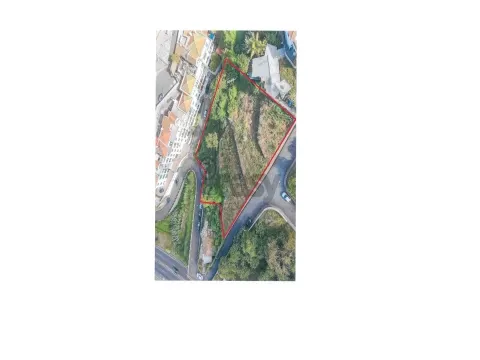 Terrain