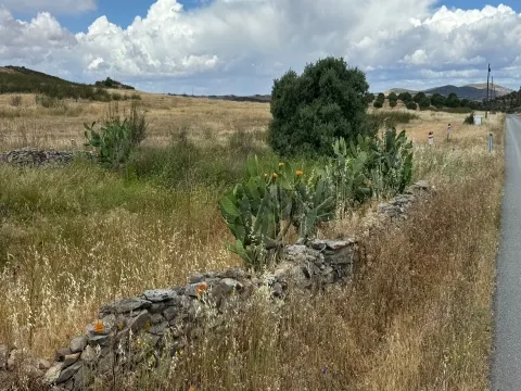 Terreno Urbano para Construção com 1685m2 , São João dos Caldeireiros, Mértola