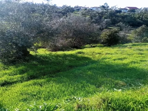 Terreno Rústico em Vila de rei