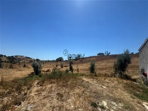 Monte alentejano com 1 Hectare em Ourique | Natureza, Tranquilidade e Potencial de Valorização