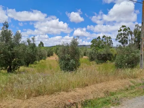 Terreno Rústico para Venda em Vidigueira, com 6 750 m².