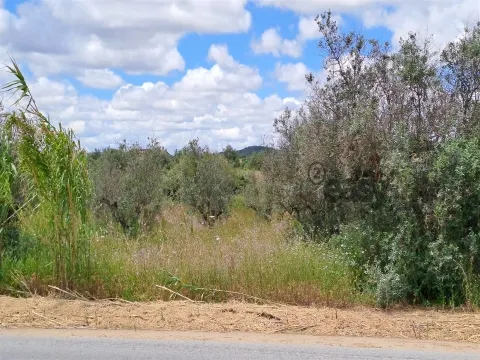 Terreno Rústico para Venda em Vidigueira, com 6 750 m².