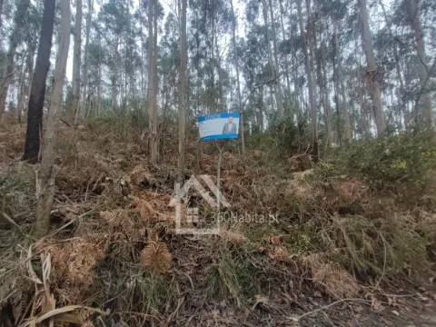 Terreno Rústico em Sendim , Felgueiras