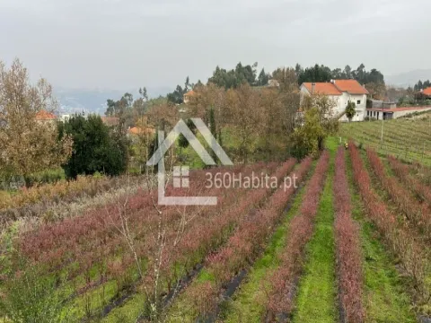 Rustikales Land in Amarante Lomba