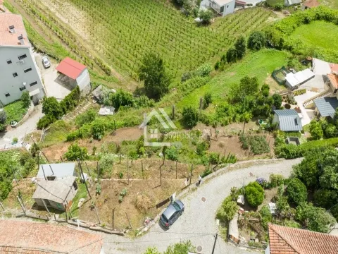 Terreno Rústico em Torrados