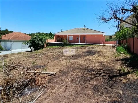 House T3+1