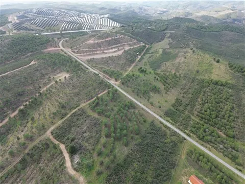 Terrain rural