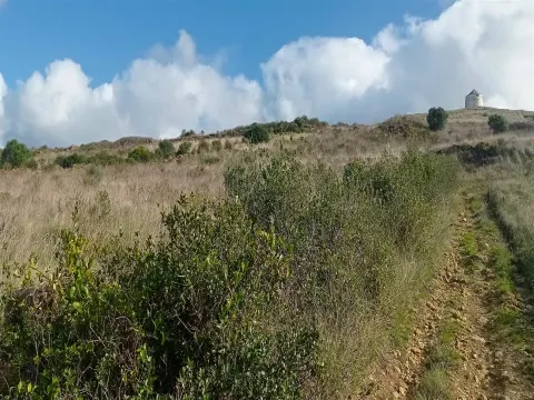 Landgrundstück