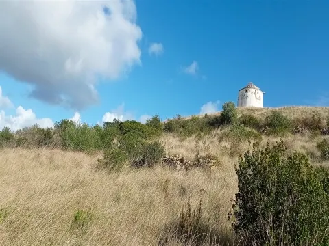 Landgrundstück