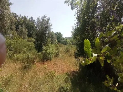 img_38
