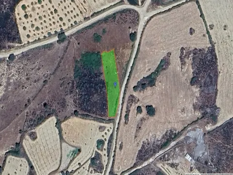Landgrundstück