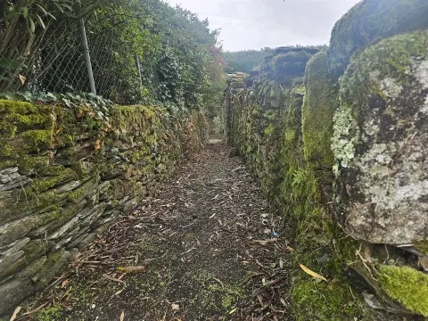 Casa de Xisto Serra do Caramulo, Águeda, com vistas deslumbrantes para a Serra